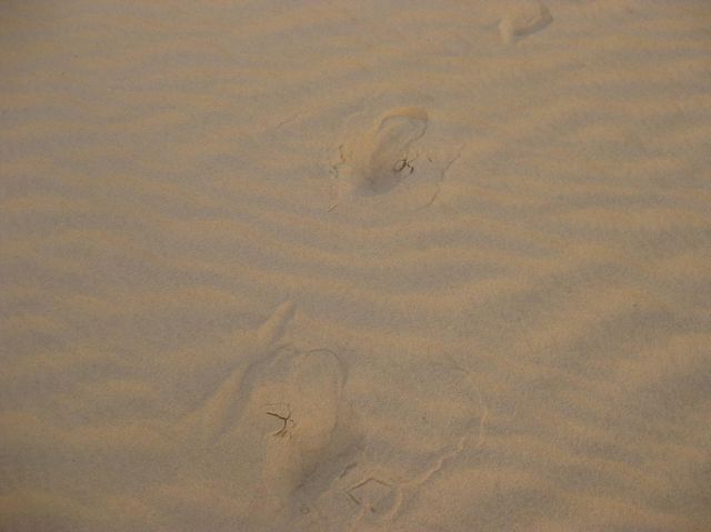 i/Family/Djerba/Safari - Djerba 2009 204.jpg_640.jpg